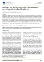Resilience and well-being as positive determinants of mental health in Israel amid challenges